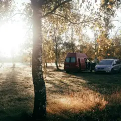 Sonnenaufgang im Herbstwald. Zwei Campervans stehen auf einer Wiese. Warum ist wildcampen verboten? Wegen des Schutzes der Natur.