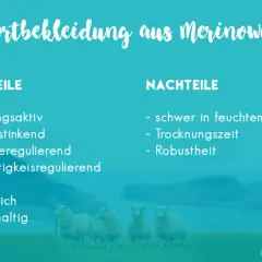 Sportbekleidung aus Merinowolle: Vorteile wie Atmungsaktivität und Nachteile wie lange Trocknungszeit. Vier Schafe stehen auf einer Wiese.