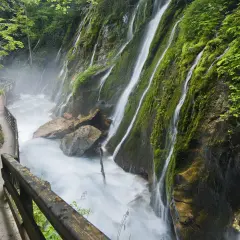 Ein Pfad führt entlang einer tosenden Klamm in Bayern, wo Wasserfälle über moosbewachsene Felsen stürzen.