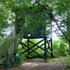 Am Meißendorfer Teiche Rundweg steht ein Hochsitz im Wald. Ein Fahrrad wartet am Aufgang.