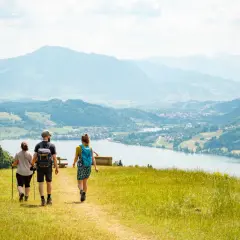 Drei Personen genießen eine leichte Wanderung mit Blick auf einen See und Berge.