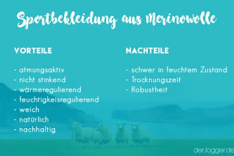 Sportbekleidung aus Merinowolle: Vorteile wie Atmungsaktivität und Nachteile wie lange Trocknungszeit. Vier Schafe stehen auf einer Wiese.