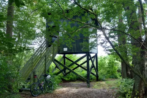Am Meißendorfer Teiche Rundweg steht ein Hochsitz im Wald. Ein Fahrrad wartet am Aufgang.