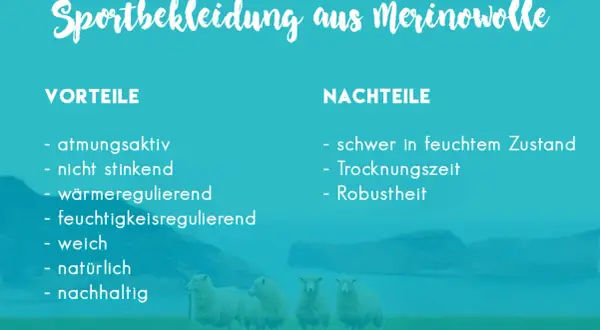 Sportbekleidung aus Merinowolle: Vorteile wie Atmungsaktivität und Nachteile wie lange Trocknungszeit. Vier Schafe stehen auf einer Wiese.