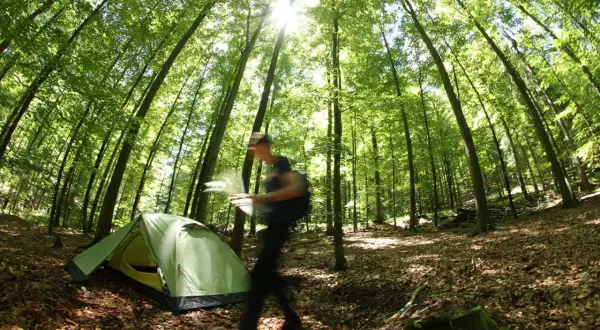 Ein Mann mit Rucksack und Karte eilt an einem Zelt vorbei. Die Sonne scheint durch die Bäume. Hier könnte man sich fragen, wo ist wildcampen erlaubt?