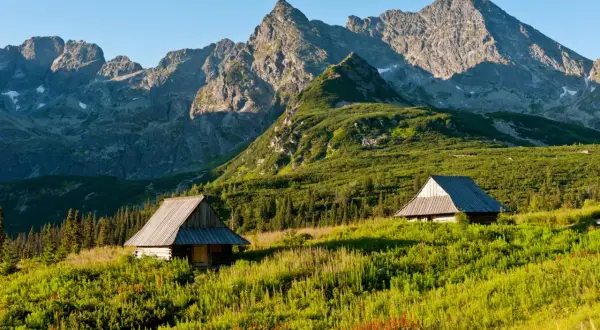 Zwei Holzhütten in einer grünen Bergwiese, im Hintergrund die majestätischen Gipfel der Hohen Tatra.