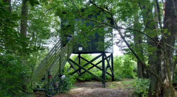 Am Meißendorfer Teiche Rundweg steht ein Hochsitz im Wald. Ein Fahrrad wartet am Aufgang.