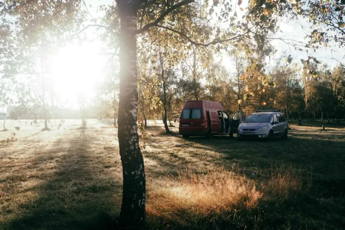 Sonnenaufgang im Herbstwald. Zwei Campervans stehen auf einer Wiese. Warum ist wildcampen verboten? Wegen des Schutzes der Natur.