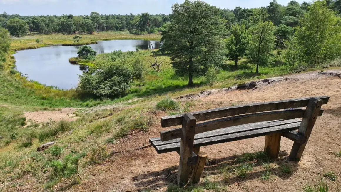 Holzbank mit Blick auf einen Teich im Nationalpark Maasduinen. Grüne Bäume und Sandhügel prägen die Landschaft.