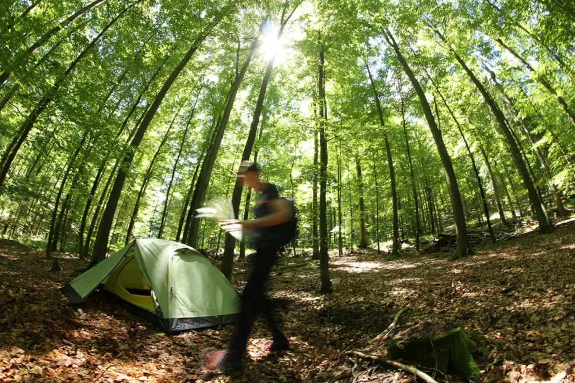 Ein Mann mit Rucksack und Karte eilt an einem Zelt vorbei. Die Sonne scheint durch die Bäume. Hier könnte man sich fragen, wo ist wildcampen erlaubt?