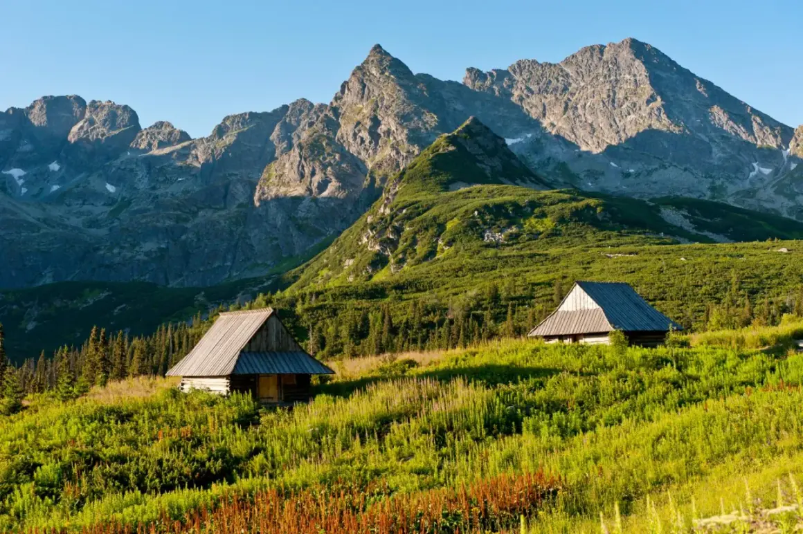 Zwei Holzhütten in einer grünen Bergwiese, im Hintergrund die majestätischen Gipfel der Hohen Tatra.