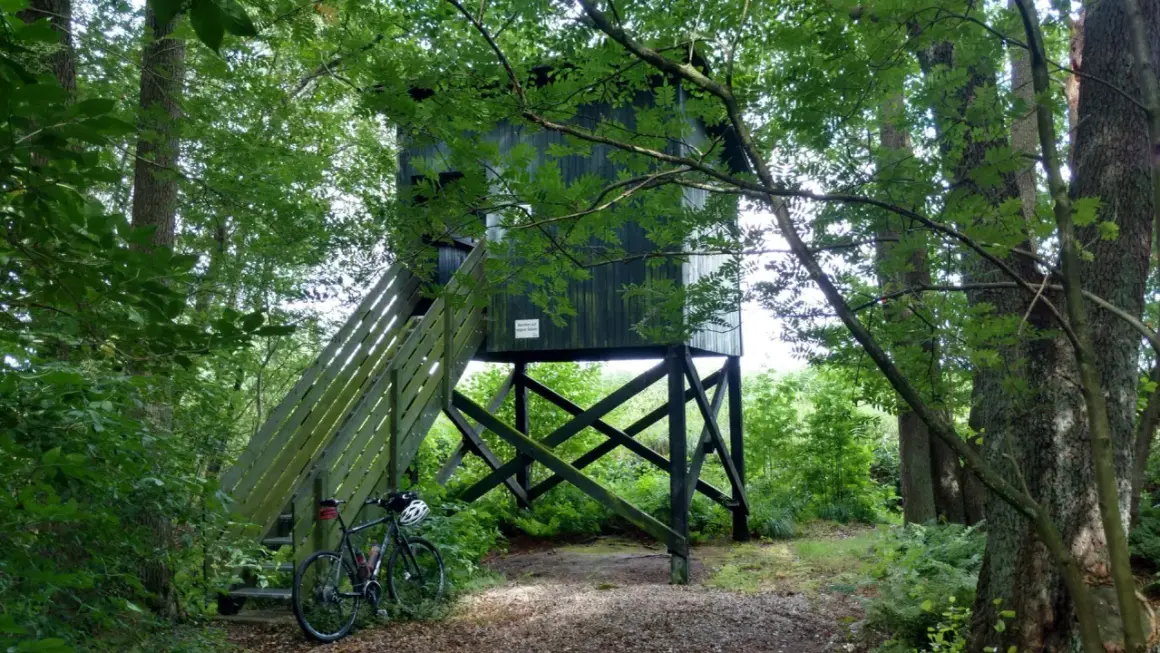 Am Meißendorfer Teiche Rundweg steht ein Hochsitz im Wald. Ein Fahrrad wartet am Aufgang.