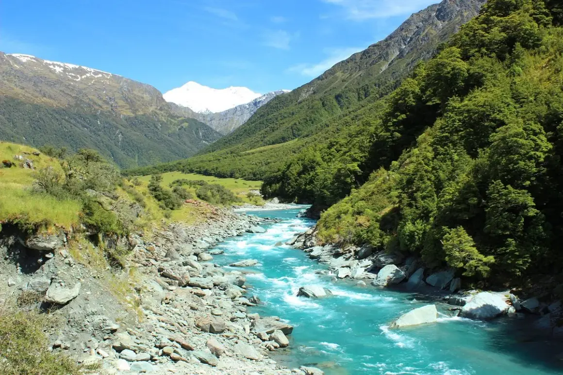 Türkisfarbener Fluss schlängelt sich durch ein Tal mit bewaldeten Hängen und schneebedeckten Gipfeln, die an Roy's Peak erinnern.