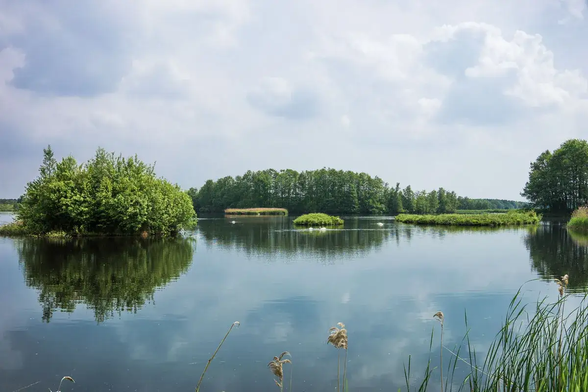 Idyllische Szene am Mei&szlig;endorfer Teiche Rundweg: Gr&uuml;ne Inseln, Schilf und Schw&auml;ne auf ruhigem Wasser spiegeln sich im Himmel.