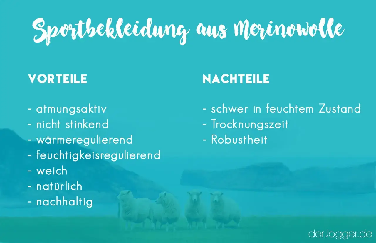Sportbekleidung aus Merinowolle: Vorteile wie Atmungsaktivit&auml;t vs. Nachteile wie lange Trocknungszeit. Vier Schafe stehen auf einer Wiese.