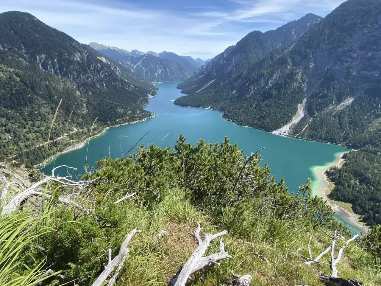Blick vom Plansee Panoramaweg auf den t&uuml;rkisfarbenen See, umgeben von bewaldeten Bergen.