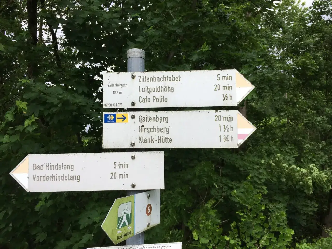 Wegweiser im Wald bei Bad Hindelang: Zillenbachtobet, Luitpoldhöhe, Gailenberg, Hirschberg, Klank-Hütte, Bad Hindelang, Vorderhindelang.