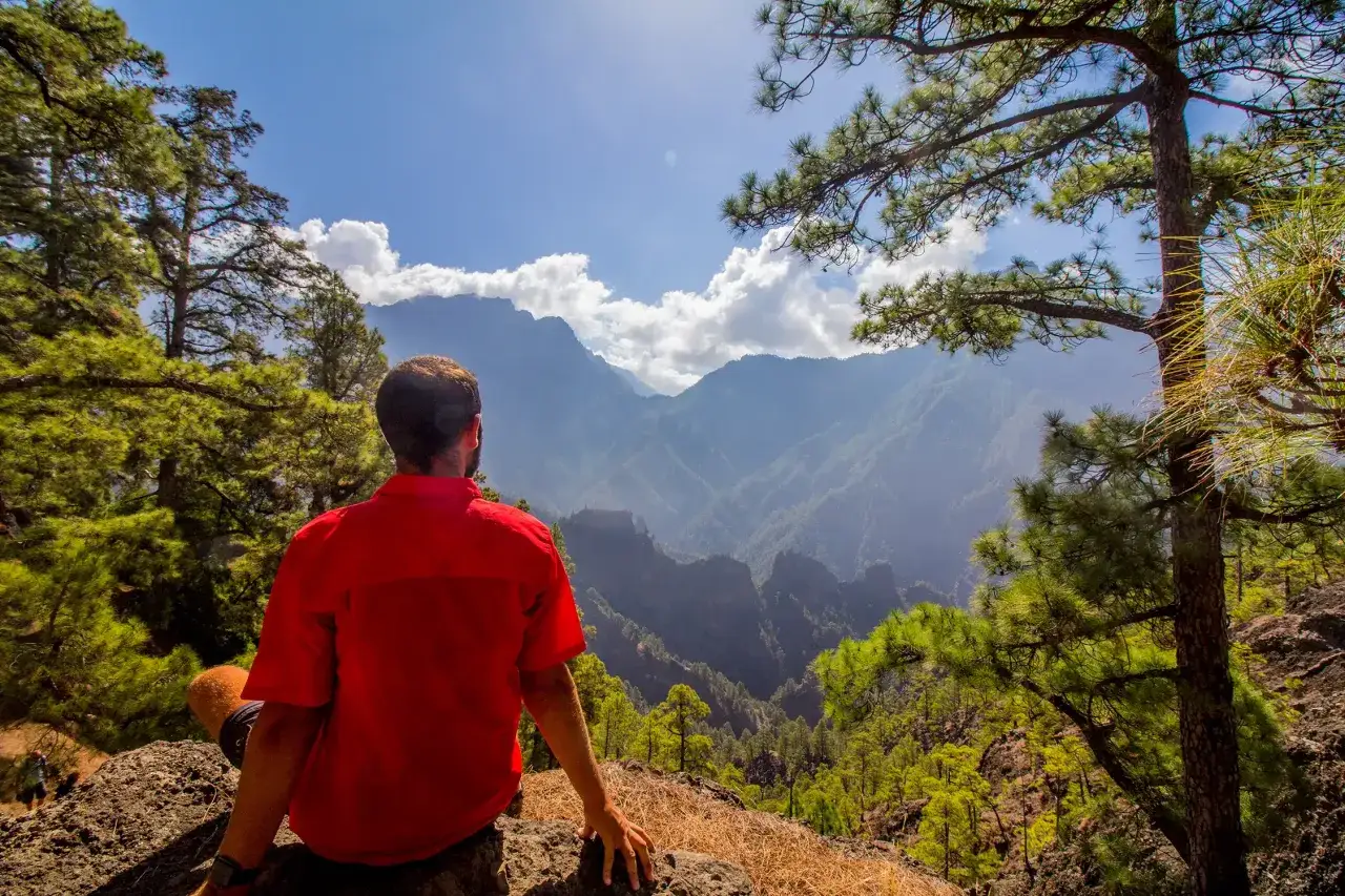 Mann in rotem Hemd genie&szlig;t Aussicht auf La Palma beim Wandern. Gr&uuml;ne Pinienw&auml;lder und Berge unter blauem Himmel.