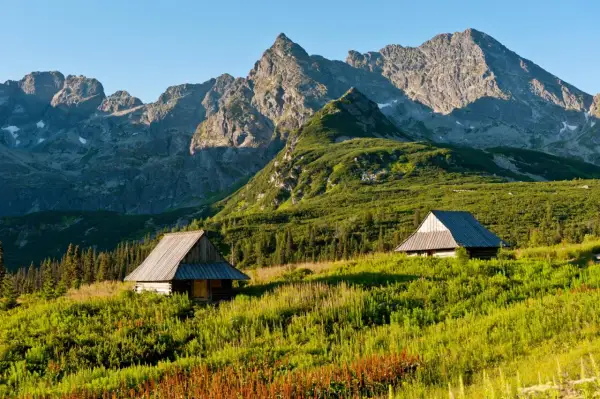 Zwei Holzhütten in einer grünen Bergwiese, im Hintergrund die majestätischen Gipfel der Hohen Tatra.